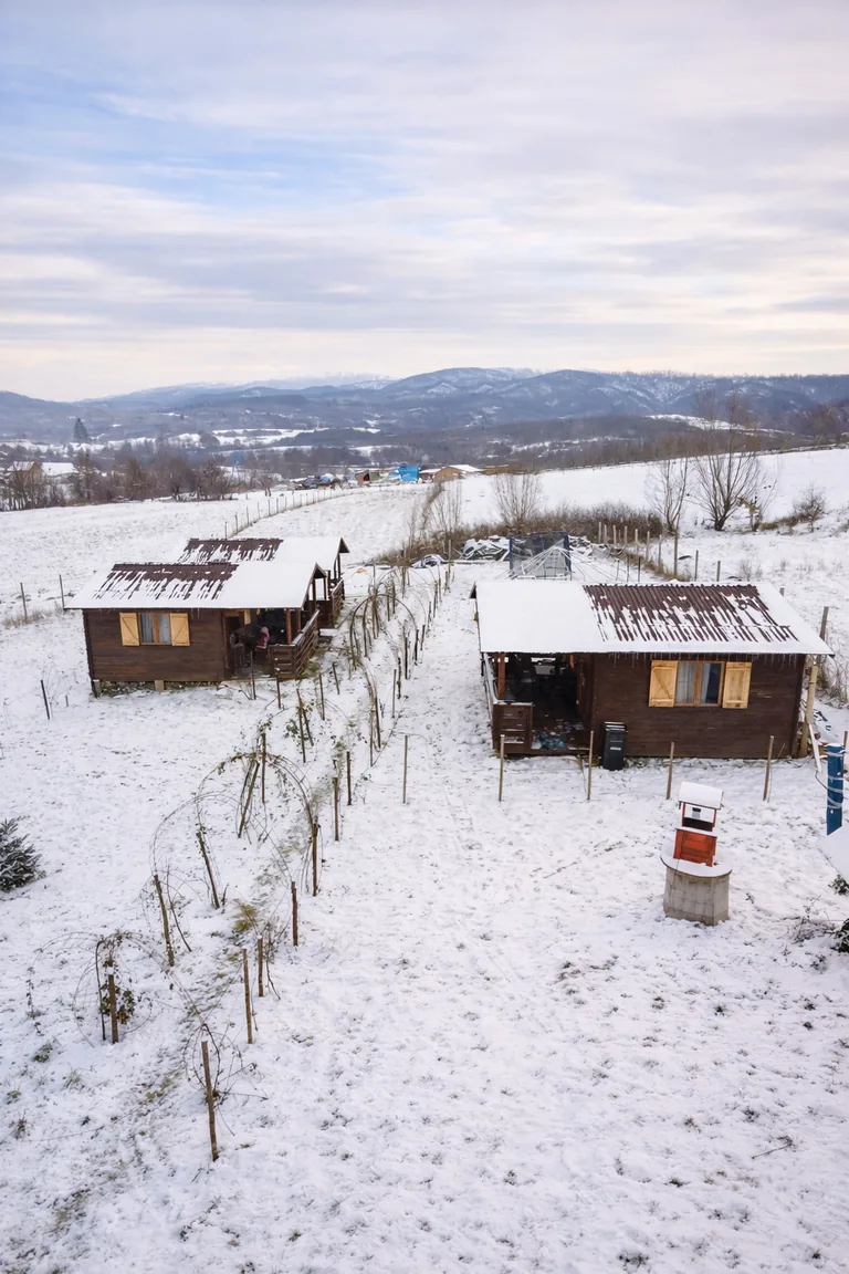 Cabanele Cabanuța din Deal iarna